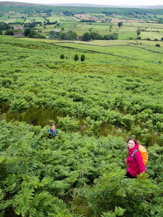 Scházíme dolů z vřesoviště - teď ještě se probít kapradím