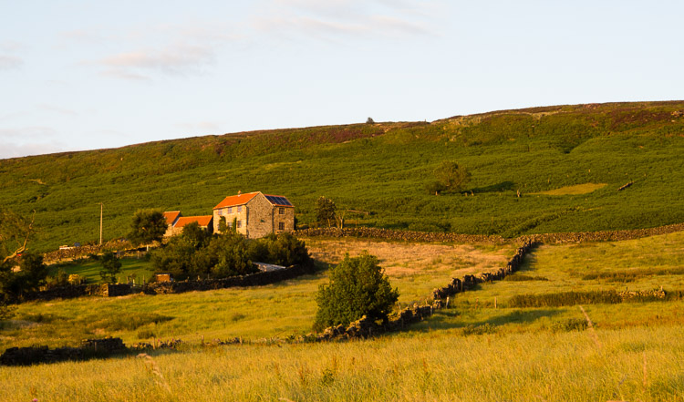 Večerní světlo v krajině nedaleko farmy