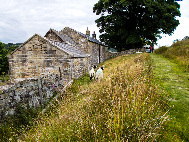 Cesta do Beck Hole podél železnice