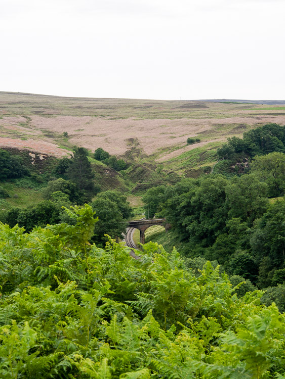 Cesta do Beck Hole podél železnice