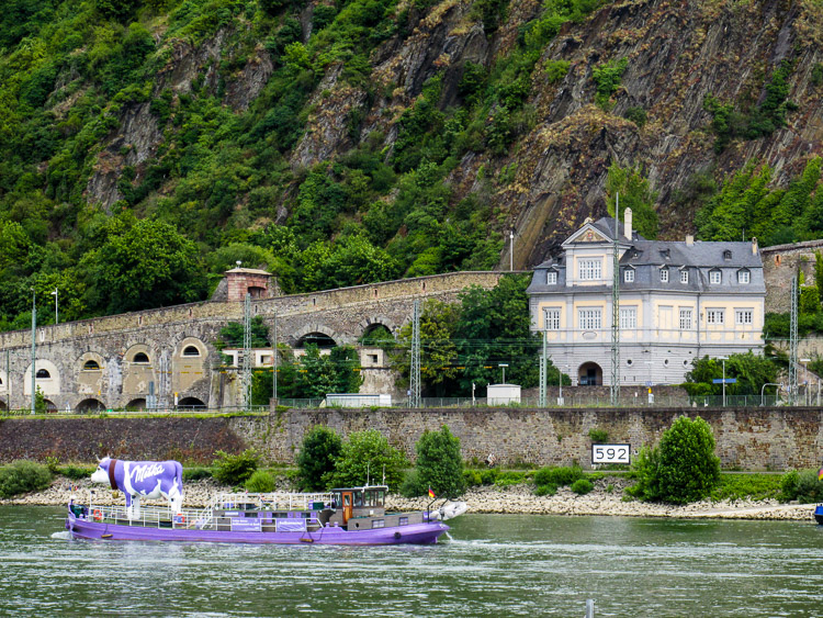 RKoblenz - Rýn a Milka