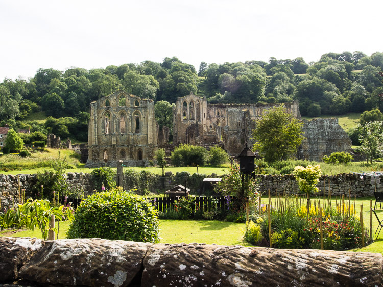 Rievaulx Abbey