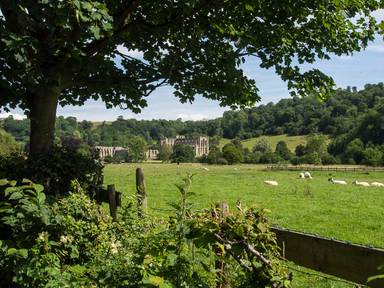 Rievaulx Abbey