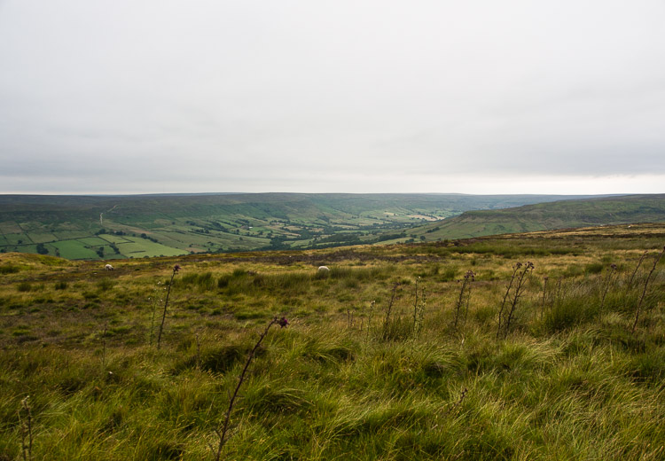 Moor (vřesoviště) jižně od Castletonu - Westerdale