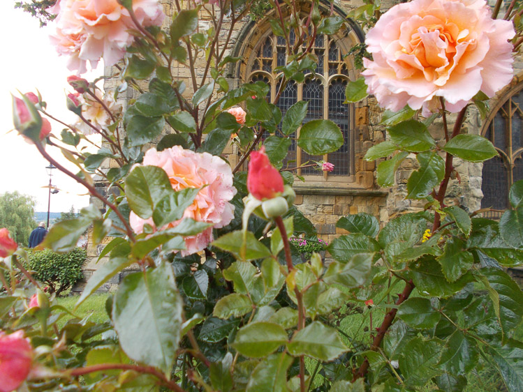 Scarborough - St. Mary's Church