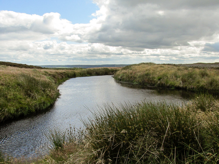 Ravenscar - Moor