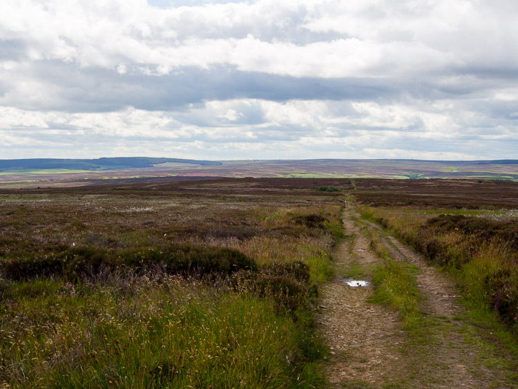 Ravenscar - Moor