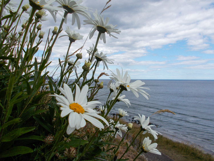 Whitby - promenáda nad pláží