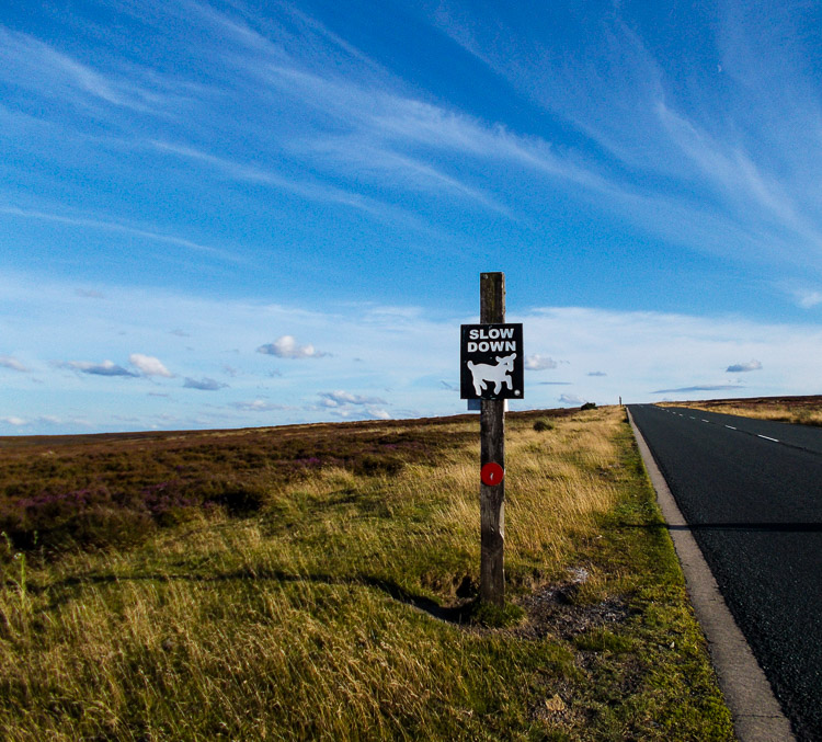 Moor (vřesoviště) u Castletonu