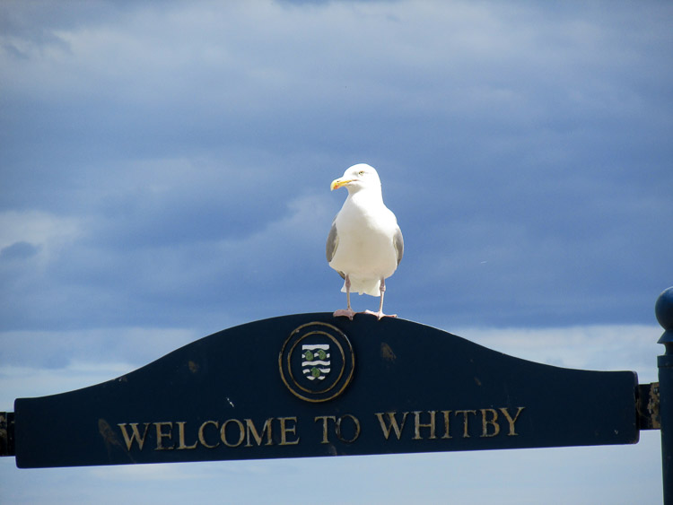 Vítejte ve Whitby