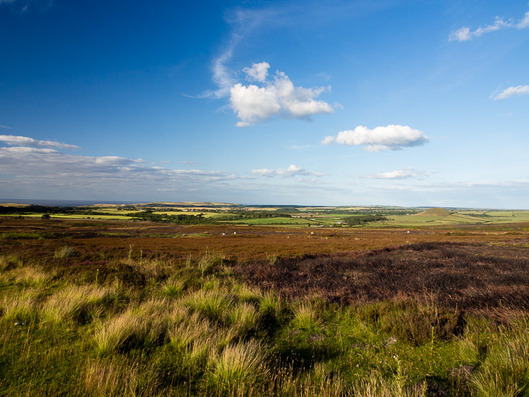 Moor (vřesoviště) u Castletonu