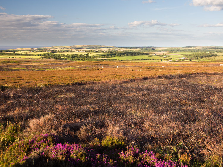 Moor (vřesoviště) u Castletonu