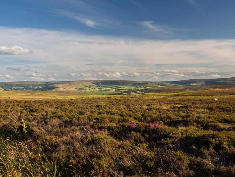 Moor (vřesoviště) u Castletonu