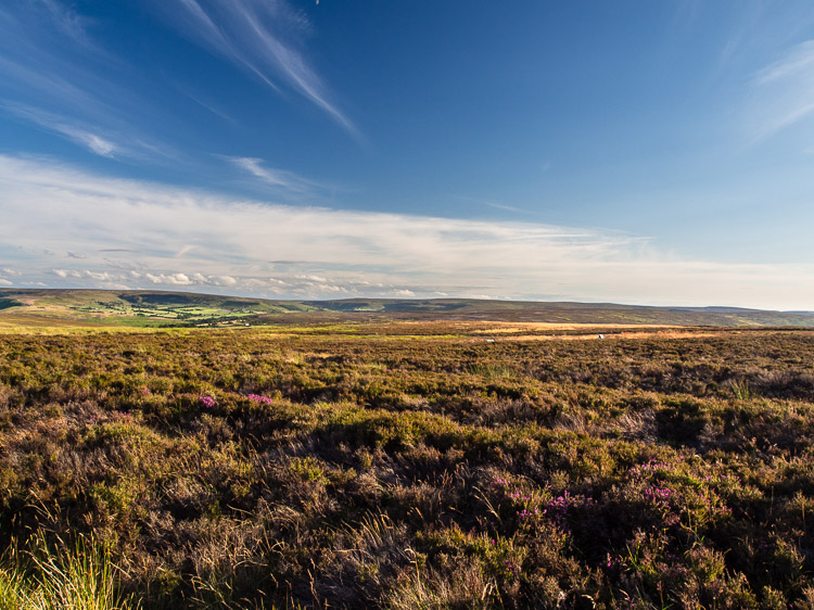 Moor (vřesoviště) u Castletonu
