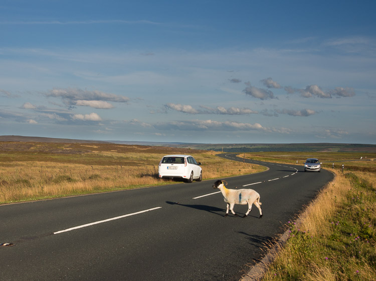 Moor (vřesoviště) u Castletonu