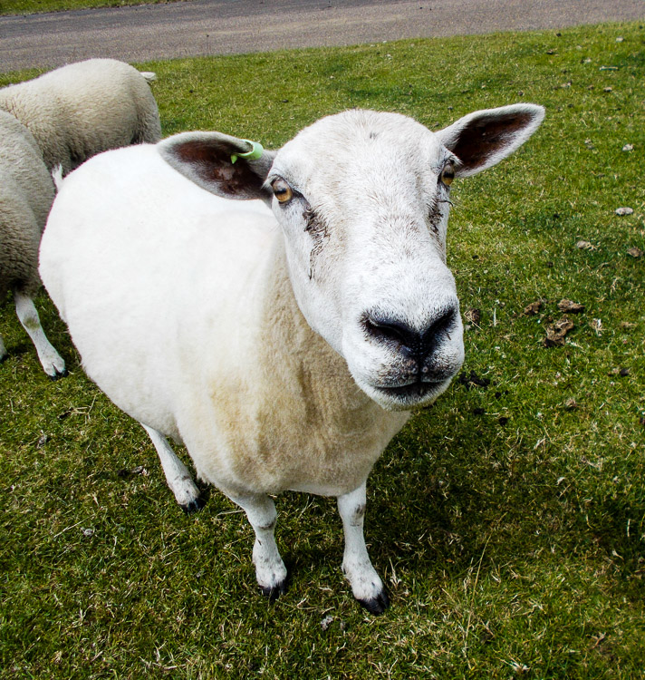 Yorkshire Sculpture Park