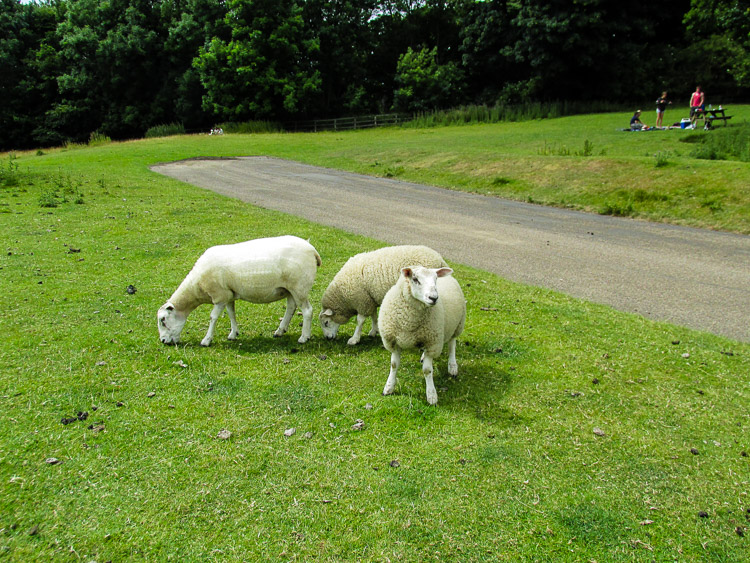 Yorkshire Sculpture Park