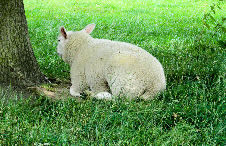 Yorkshire Sculpture Park