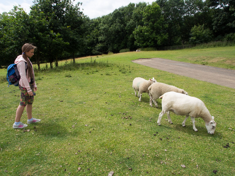 Yorkshire Sculpture Park