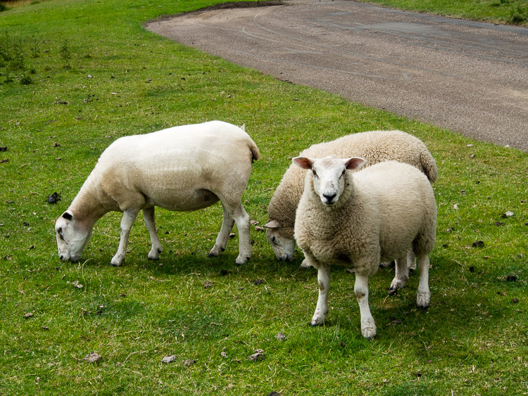 Yorkshire Sculpture Park