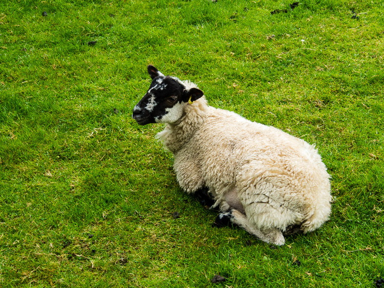 Pastviny, kamenné zídky a úzká vrátka