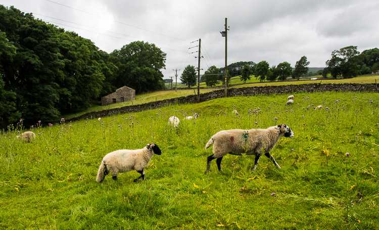 Vracíme se do Hawes